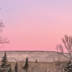 Meet your Posher, Nora